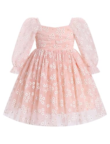 Odizli Kleider für Mädchen Baby Kinder Mesh Langarm Glitzer Blume Stickerei Tüllkleid Erster 1. Geburtstag Hochzeit Festliches Einschulungs Winterkleid Taufkleid Fotoshooting Hellrosa 3-4 Jahre von Odizli