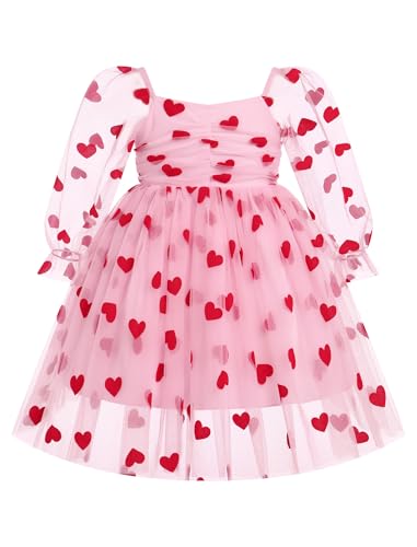 Odizli Kleider für Mädchen Baby Kinder Mesh Langarm Glitzer Blume Stickerei Tüllkleid Erster 1. Geburtstag Hochzeit Festliches Einschulungs Winterkleid Taufkleid Fotoshooting Rosa Herz 12-18 Monate von Odizli
