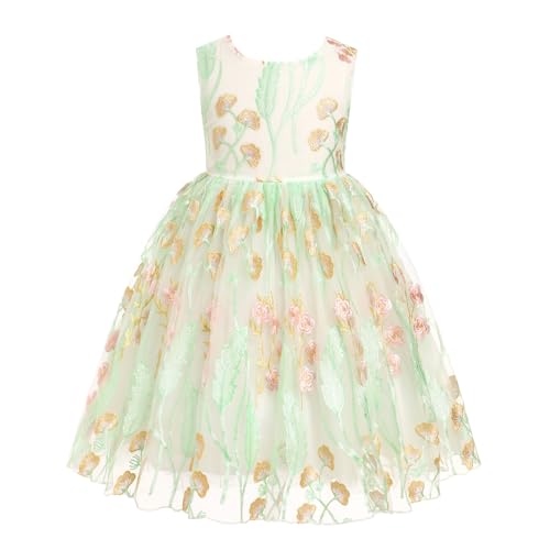Odizli Kleider für Mädchen Kinder Ärmellos Blumen Stickerei Mesh Prinzessin A-Linie Tüllkleid Blumenmädchenkleider Festliche Hochzeit Party Einschulungs Sommerkleid Kurz Abendkleid Weiß 7-8 Jahre von Odizli