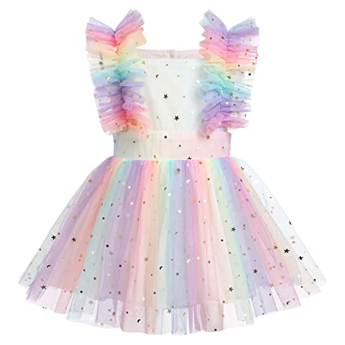 Taufkleid Baby Mädchen Strampler Kleid Prinzessin Tutu Tüllkleid Erster 1. Geburtstag Festliche Hochzeit Kleidung Babykleidung Neugeborenen Erstausstattung Set Fotoshooting Regenbogen 0-6 Monate von Odizli