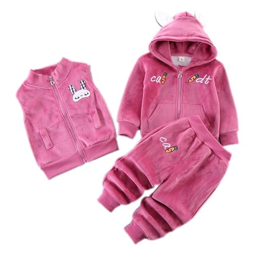 Odziezet Kleinkinder Warm Outfit Kinder Kapuze Ärmellose Weste Anzug Baby Winter Dreiteiliges Outfits Kind Langärmeliges Sweatshirt Hose Sets Babys Cartoon Bär Kleidung 0-4 Jahre (HMR,2-3 Jahre) von Odziezet