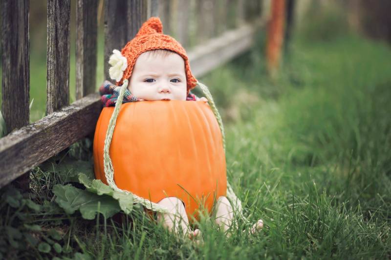 Handgemachte Gehäkelte Herbst Thanksgiving Kürbis Vintage-stil Pixie Shell Baby Mädchen Mütze Mit Mohair Geschichtete Blume & Perle von OhSoVeryKnotty
