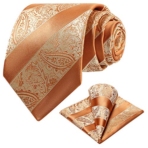 Ohlimuc Krawatten Set Herren (8.5cm), Paisley Krawatte Einstecktuch Set, Klassisch Elegant Hochzeit Krawatte Taschentuch für Formelle Kleidung, Feier, Partys (Geschenkbox) von Ohlimuc