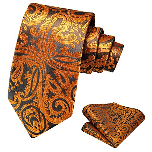 Ohlimuc Krawatten für Herren Krawatte Gold Einstecktuch Set Paisley Elegant Krawatte für Arbeit, Seide Krawatten Taschentuch für Business Party von Ohlimuc