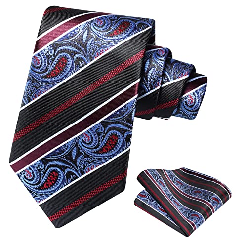 Ohlimuc Krawatten für Herren Krawatte Schwarz Einstecktuch Set Paisley Elegant Krawatte für Arbeit, Seide Krawatten Taschentuch für Business Party von Ohlimuc