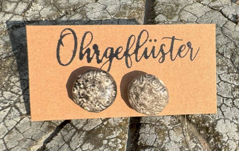 Keramik Ohrstecker Große Seeigel von Ohrgefluester