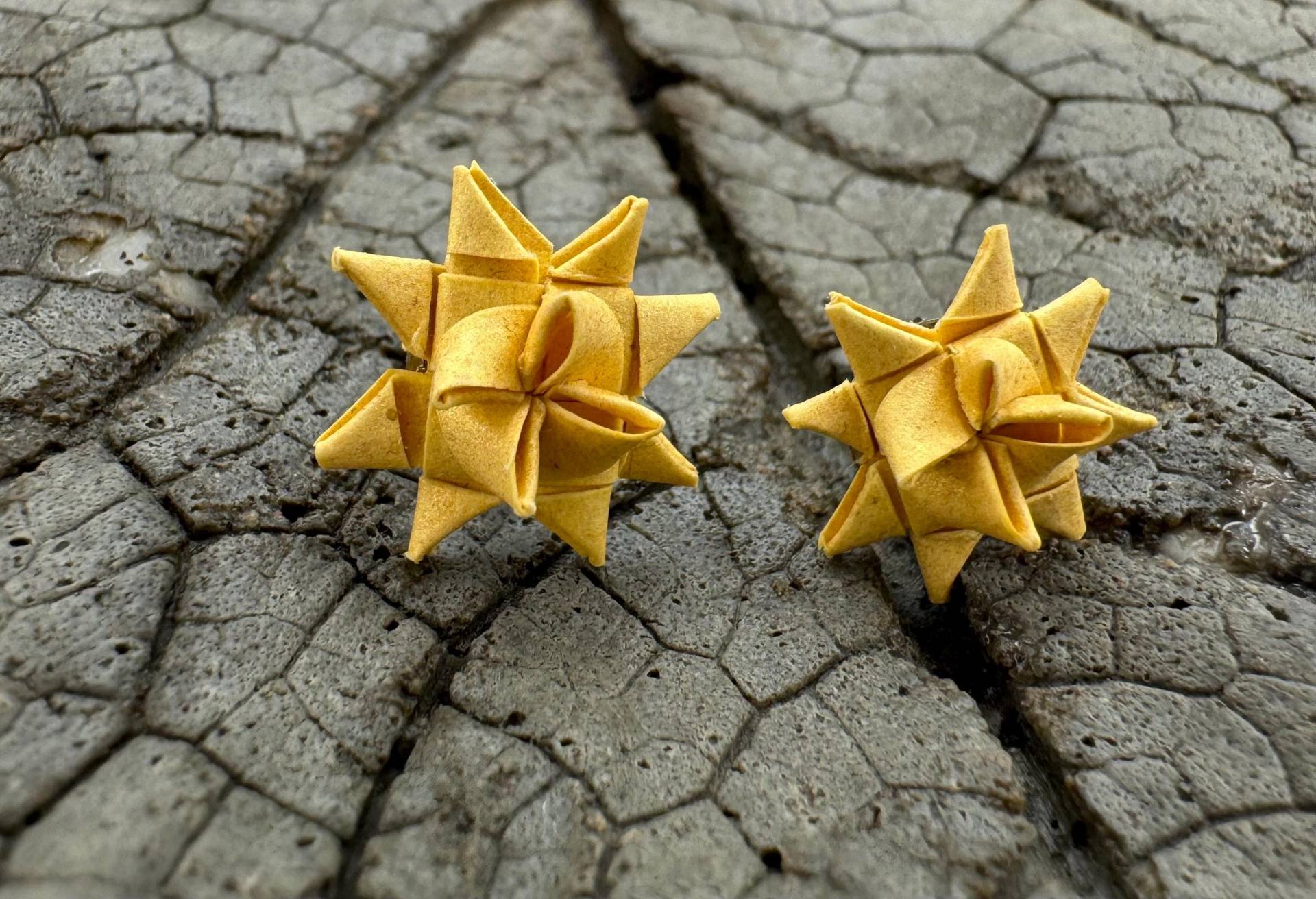 Ohrstecker Weihnachten Stern von Ohrgefluester