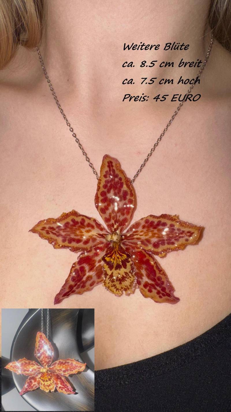 Echte Orchideenblüte in Epoxidharz Konserviert von Olchidea