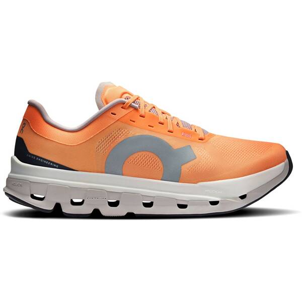 ON Herren Laufschuhe Cloudflow 5 von On