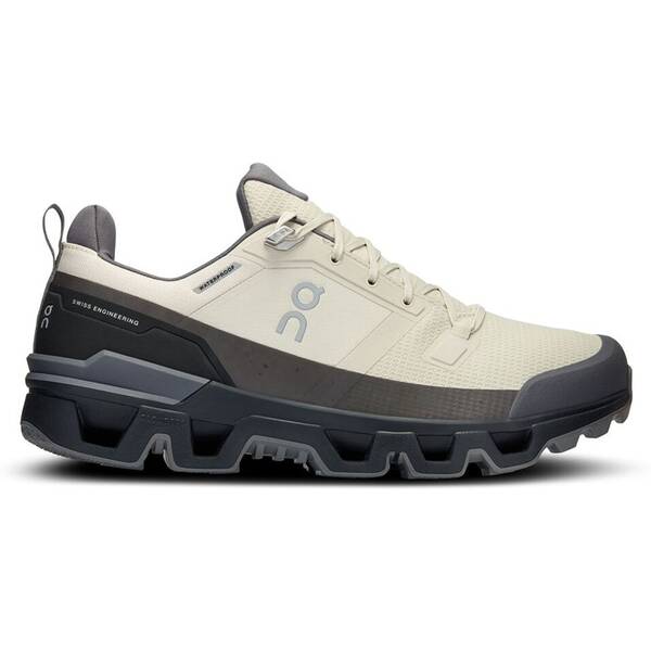 ON Herren Multifunktionsschuhe Cloudwander Waterproof von On