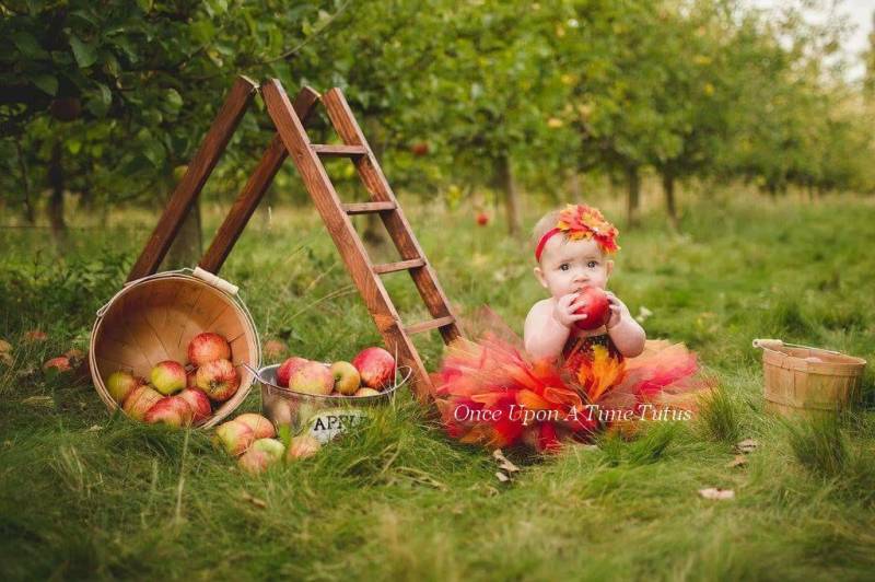 Herbst Fee Kostüm, Tutu Kleid, Halloween Fee, Waldfee, Blätter Tutu, Blatt Renaissance Festival von OnceUponATimeTuTus