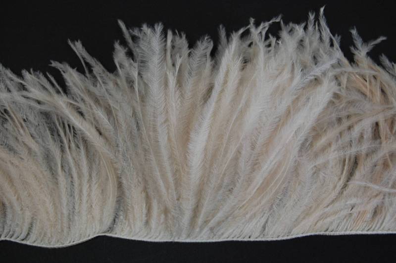 12" Streifen Von Ostrich Feather Fringe - Beige | 4"-6 "In Der Höhe von OnlineFeathers