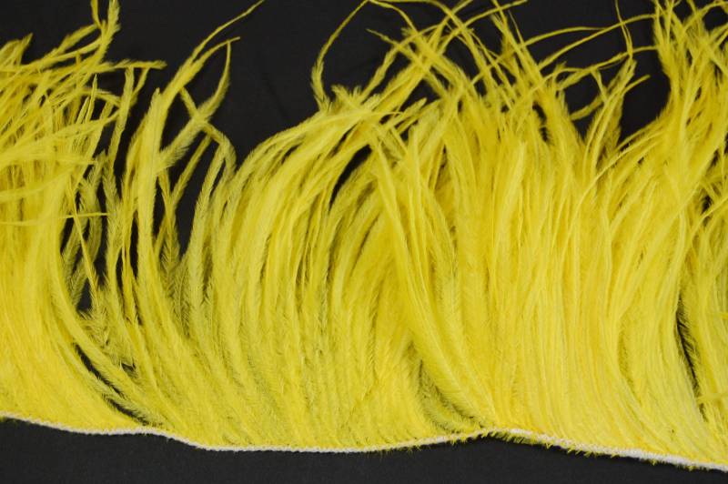 12" Streifen Von Ostrich Feather Fringe - Gelb | 4"-6 "In Der Höhe von OnlineFeathers