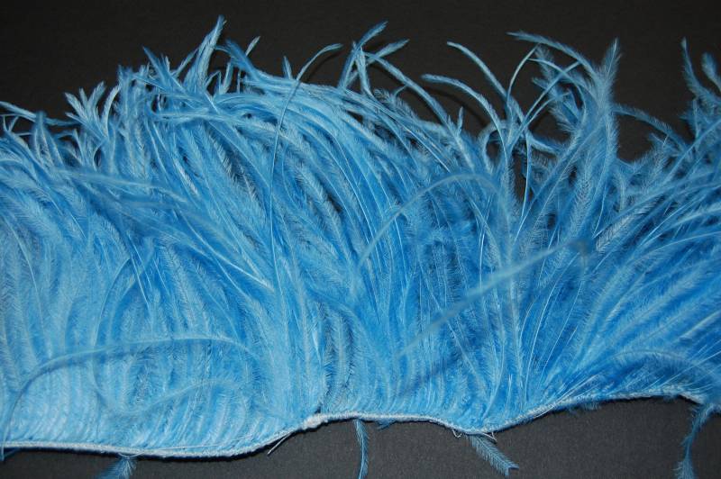 12" Streifen Von Ostrich Feather Fringe - Himmelblau | 4"-6 "In Der Höhe von OnlineFeathers