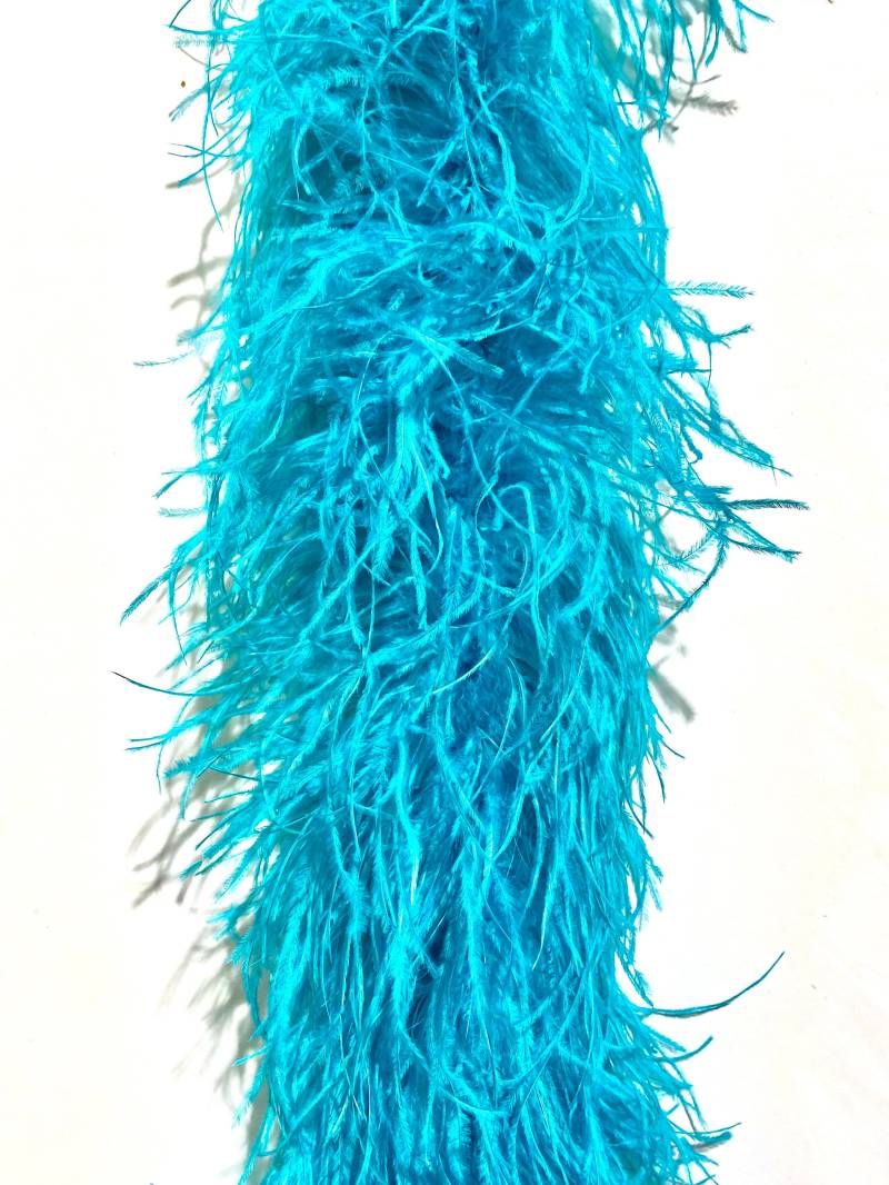 2 Ply Light Turquoise Straußenfeder Boa 72" Lang Für Halloween Kostüm Handwerk Bachelorette Theater Design von OnlineFeathers