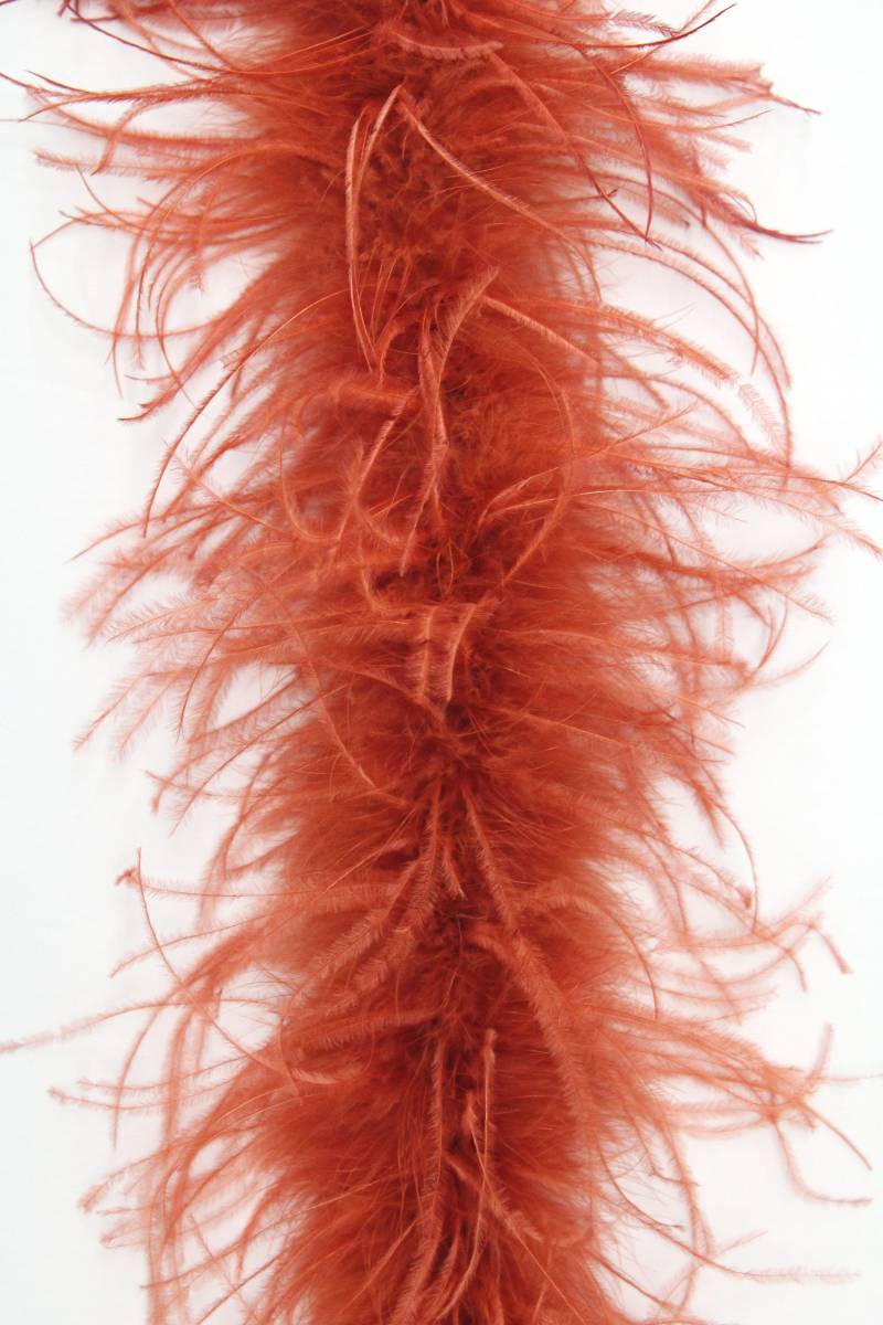 2 Ply Rust Straußenfeder Boa Meter Für Halloween Kostüm Handwerk Bachelorette Theater Design von OnlineFeathers