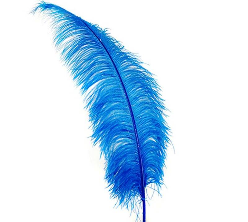 2 Stk Strauß Spads 20-30" Turquoise von OnlineFeathers