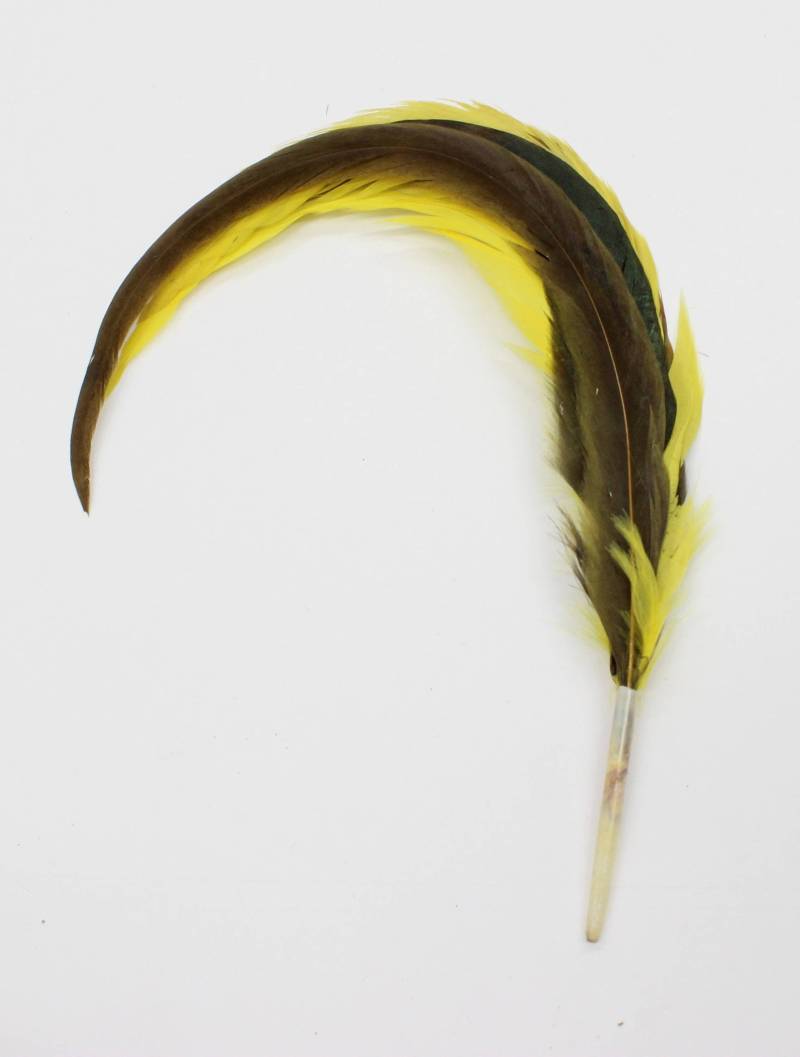 3 Stk Coque Sweeps Gefärbt Gelb Hahn Federn 8-12" in Der Höhe von OnlineFeathers