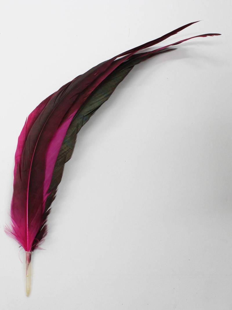 3 Stk Coque Sweeps Gefärbt Hot Pink Hahn Federn 8-12" in Der Höhe von OnlineFeathers