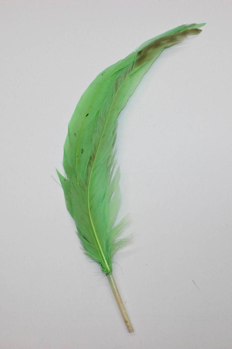 3 Stk Coque Sweeps Gefärbt Mint Lindgrün Hahn Federn 8-12" in Der Höhe Für Basteln Diy Kostüm Design von OnlineFeathers