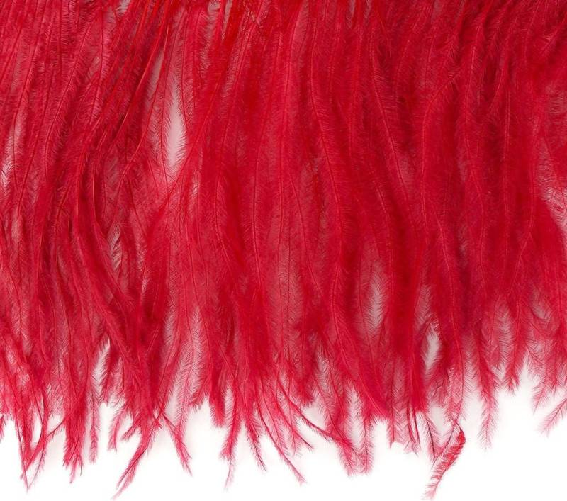 36" Ostrich Feather Fringe - Roten Streifen | 4"-6 "In Der Höhe von OnlineFeathers