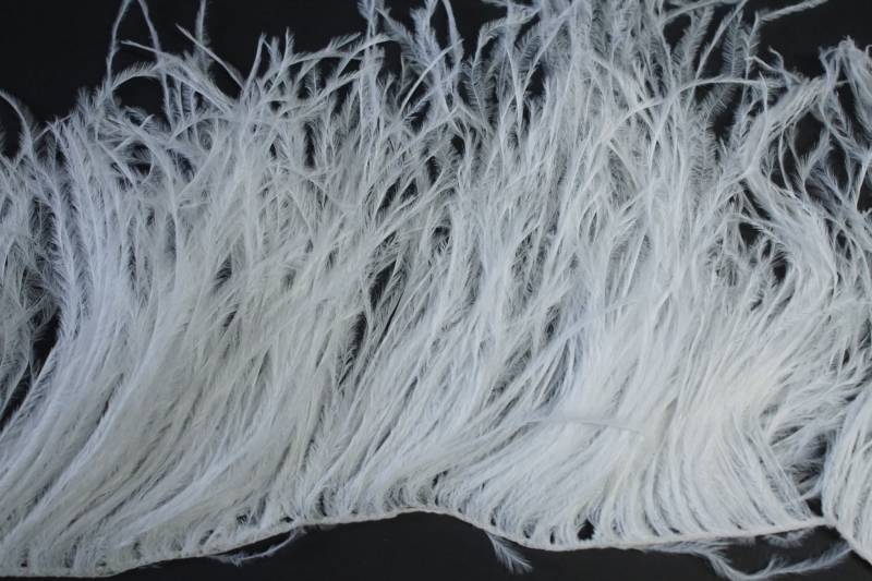 36" Streifen Von Ostrich Feather Fringe - Strahlend Weiß | 4"-6 "In Der Höhe von OnlineFeathers
