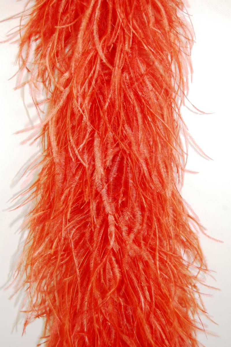 4 Ply Rust Straußenfeder Boa 2 Meter Für Halloween Kostüm Handwerk Braut Bachelorette Design Diy von OnlineFeathers