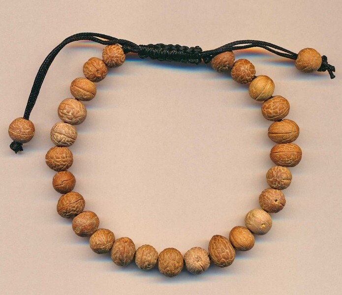 Armband Samen Braun Handarbeit Geschenk Damen Herren Natur Nepal Buddhismus Sommer Beige Schwarz Verstellbar Geburtstag Armschmuck Rund 90H von Onlybestqualitynepal