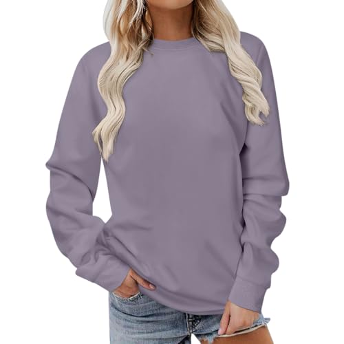 Onsoyours Damen Rundhals Sweatshirt Herbst Pullover Einfarbig Longshirt Basic Pulli ohne Kapuze Elegant Langarmshirt Teenager Mädchen Streetwear A Violett S von Onsoyours