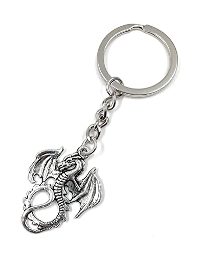 Onwomania Drache China Feuerspucker Märchen Schlüsselanhänger Metall Glücksbringer in Alu Geschenkbox, ideal zum Verschenken von Onwomania
