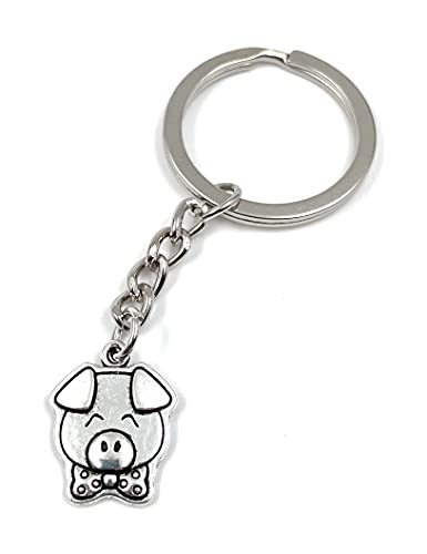 Onwomania Glücksschwein mit Fliege niedlich Pig Schlüsselanhänger Metall Glücksbringer in Alu Geschenkbox, ideal zum Verschenken von Onwomania