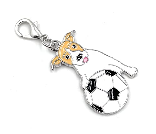 Onwomania Jack Russel Terrier Hund Metall Schlüsselanhänger, Glücksbringer in Alu Geschenkbox, ideal zum Verschenken Onwomania Jack Russel Terrier Hund Metall Schlüsselanhänger, Glücksbringer in Alu Geschenkbox, ideal zum Verschenken von Onwomania