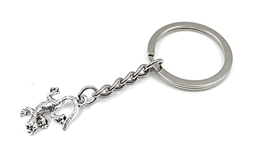 Onwomania Kleiner Echse Gecko Schlüsselanhänger Metall Glücksbringer in Alu Geschenkbox, ideal zum Verschenken von Onwomania