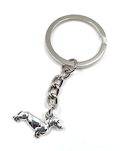 Onwomania Langer Dackel Hund stehend Haustier Schlüsselanhänger Metall Glücksbringer in Alu Geschenkbox, ideal zum Verschenken von Onwomania