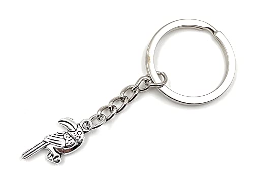 Onwomania Papagei Tukan Vogel Schlüsselanhänger Metall Glücksbringer in Alu Geschenkbox, ideal zum Verschenken Onwomania Papagei Tukan Vogel Schlüsselanhänger Metall Glücksbringer in Alu Geschenkbox, ideal zum Verschenken von Onwomania