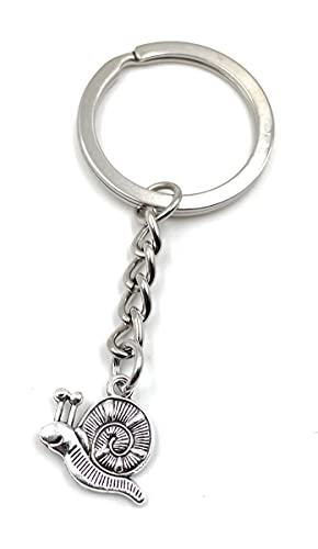 Onwomania Schnecke kriechendes Tier Schlüsselanhänger Metall Glücksbringer in Alu Geschenkbox, ideal zum Verschenken Onwomania Schnecke kriechendes Tier Schlüsselanhänger Metall Glücksbringer in Alu Geschenkbox, ideal zum Verschenken von Onwomania