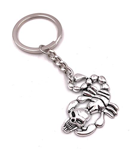 Onwomania Skorpion mit Totenkopf Schlüsselanhänger Metall Glücksbringer in Alu Geschenkbox, ideal zum Verschenken Onwomania Skorpion mit Totenkopf Schlüsselanhänger Metall Glücksbringer in Alu Geschenkbox, ideal zum Verschenken von Onwomania