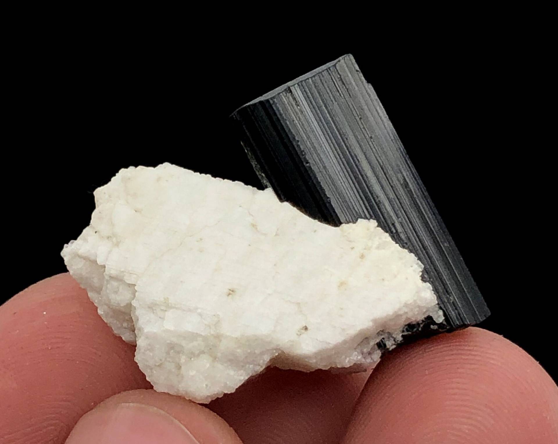 49.95 Karat Schöner Schwarzer Turmalin Mit Feldsper Exemplar Auf Matrix 49.95 Karat Schöner Schwarzer Turmalin Mit Feldsper Exemplar Auf Matrix von OrbitMineralsAndGems