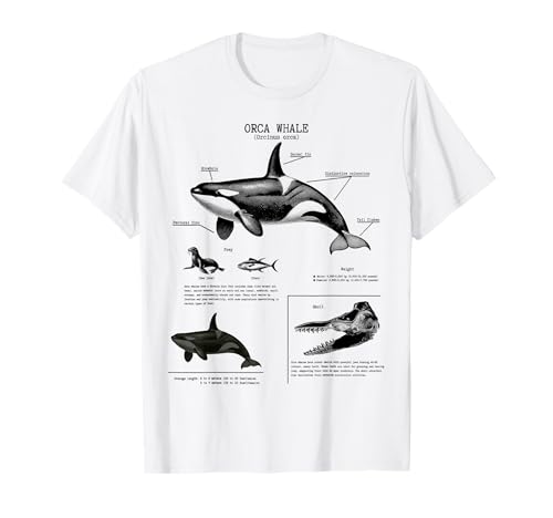 Orca-Wal-Anatomie, Walliebhaber, Meeresbiologe T-Shirt - Orca whale Anatomy, Marine Biologist - Damen - Weiß - S von Orca whale Anatomy, Marine Biologist