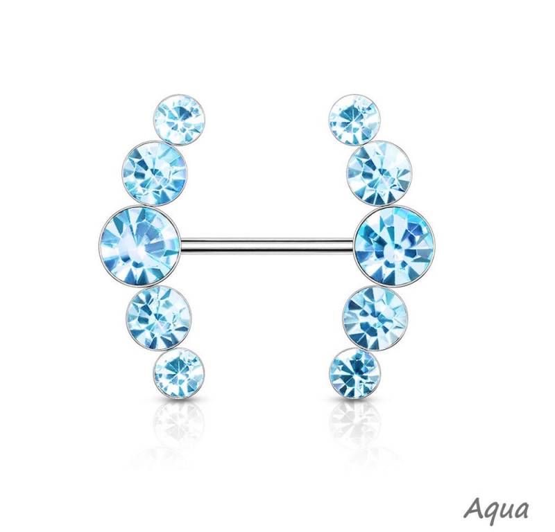 Order & Smile Schmuck Brustwarzenpiercing Brustwarzenpiercing Schild mit Kristallen von Order & Smile Schmuck