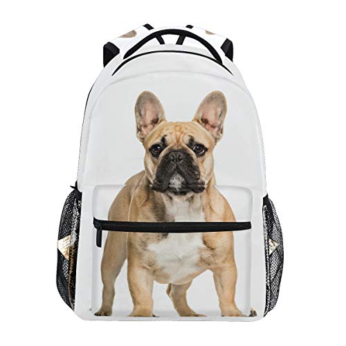 Orediy Schulrucksack Französische Bulldogge Rucksäcke Casual Reise Basic Student Buch Tasche für Kinder Mädchen Jungen von Orediy