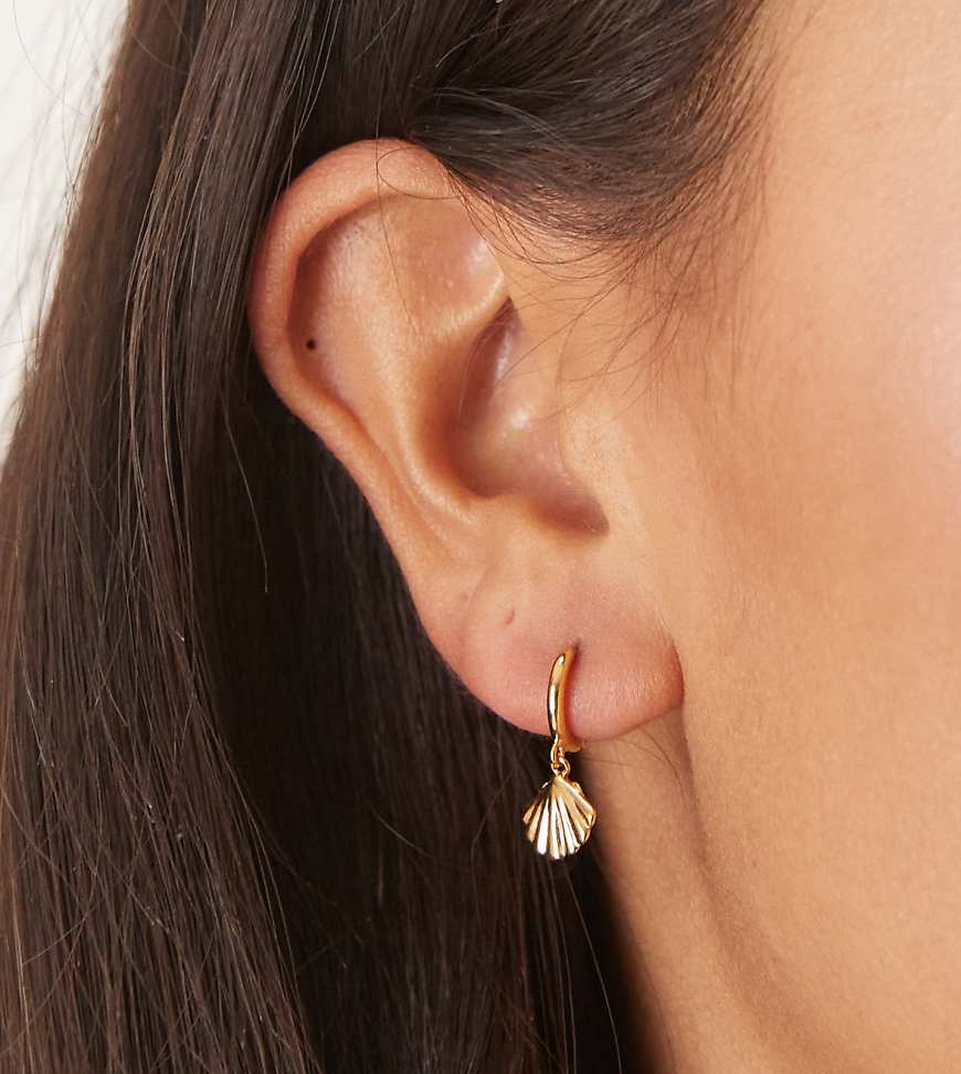 Orelia - Vergoldete, kleine Creolen mit Muschelanhänger in gewölbter Blassgold-Optik-Goldfarben von Orelia