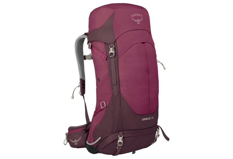 Osprey Wanderrucksack Sirrus 36 Women - Wanderrucksack 68 cm (elderberry purple-chiru tan) von Osprey
