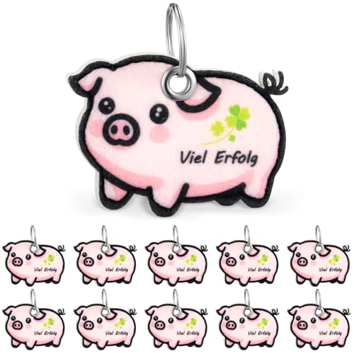 Otuuz 10 Stück Glücksbringer Schlüsselanhänger Prüfung Glücksschwein Deko mit Spruch Viel Erfolg 2025 Schule Filz Glück Anhänger Geschenk für Schüler Kollege Abschied Neuer Job Einzug Operation, Rosa von Otuuz