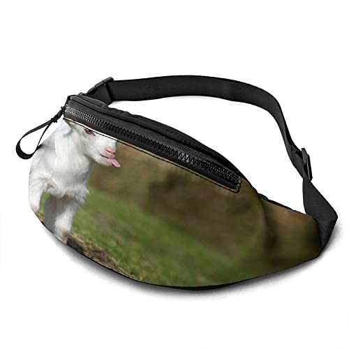 Baby Ziege Bauchtasche für Damen Herren Mode Hüfttasche Hüfttasche mit verstellbarem Gürtel für Reisen im Freien Sport Laufen von Oudrspo