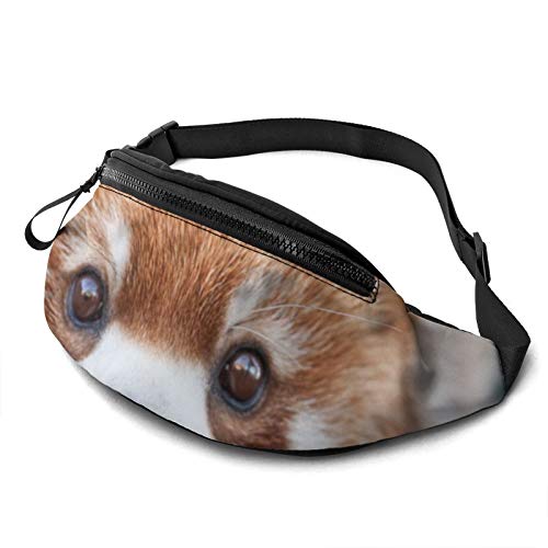 Red Panda Lässige Gürteltasche für Männer und Frauen, Verstellbarer Gürtel, Gürteltasche für Reisen, Wandern, Radfahren, Laufen, Festival, Rave von Oudrspo