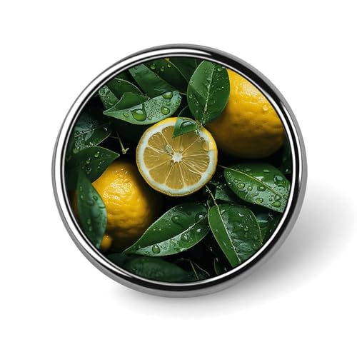 Runde Brosche mit frischem Zitronen-Motiv, modische Revers-Krawattennadeln, leichte Metallbrosche, Abzeichen für Männer und Frauen, Kostüm, dekoratives Accessoire von Oudrspo