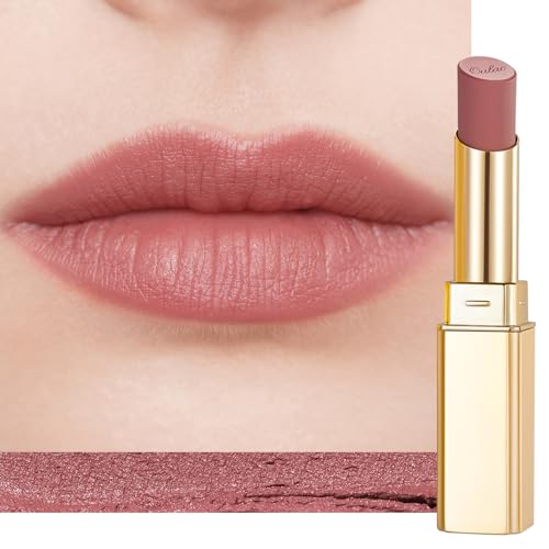 Oulac Lippenstift Matt Damen Lipstick –Langanhaltend 8H,Wasserfester Lippenstift&Kein Abfärben,Hohe Pigmentierung,Weiches Mattes Finish,Leichte&Komfortable Textur,Vegan&Cruelty-Free Lip Color RM05 von Oulac