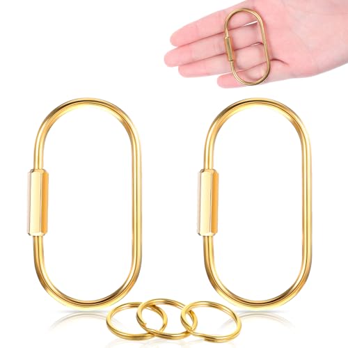 Ouligay 2 Stück Messing Schlüsselring mit Schraubverschluss Schlüsselanhänger Gold Schlüsselringe aus Goldene Messing Brass Screw Lock Keychain für Handtaschen Auto Schlüssel Zubehör von Ouligay