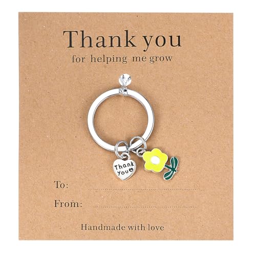 Ouligay Danke Schlüsselanhänger Lehrerin Geschenk Kollegen Abschiedsgeschenk Lehrerin Erzieherin Lehrer Dankeschön Geschenke Klein Erzieherin Abschied Grundschule Lehrer Geschenk Lehrerinnen Kollegen von Ouligay